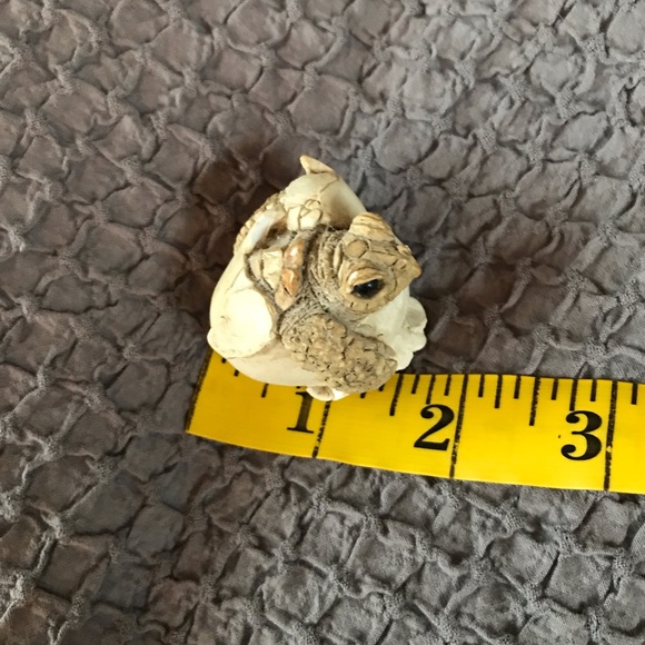 Adorable little turtle hatchling from 1990. - Picture 6 of 8